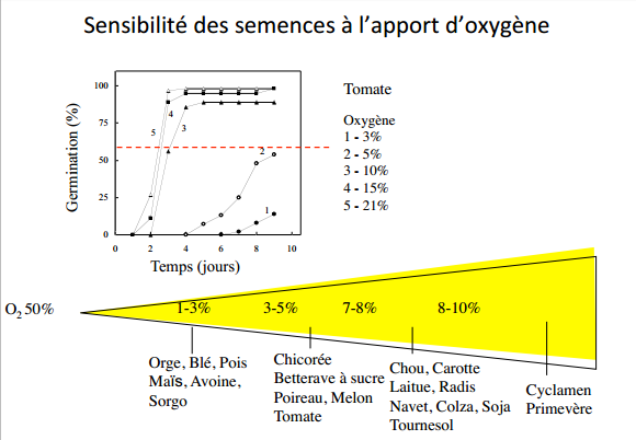 http://australe.upmc.fr/access/content/group/foad2v417_01/Cours%20Chapitre%202%20Croissance_Savoure2015.pdf