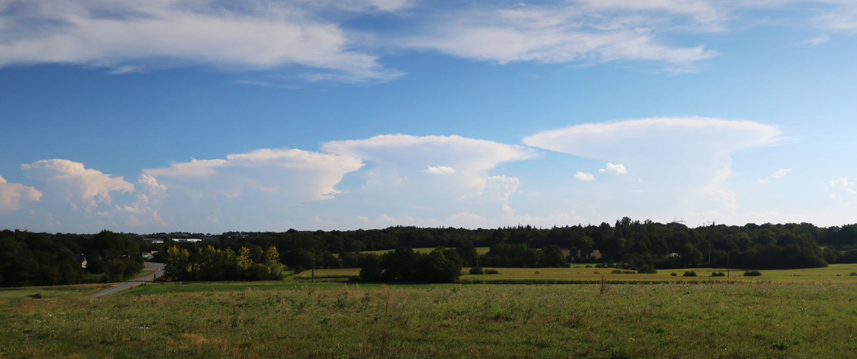 Photo de cumulonimbus. On observe trs bien la forme d'enclume de ses nuages, c'est  dire tal  son sommet et plus fin en dessous.