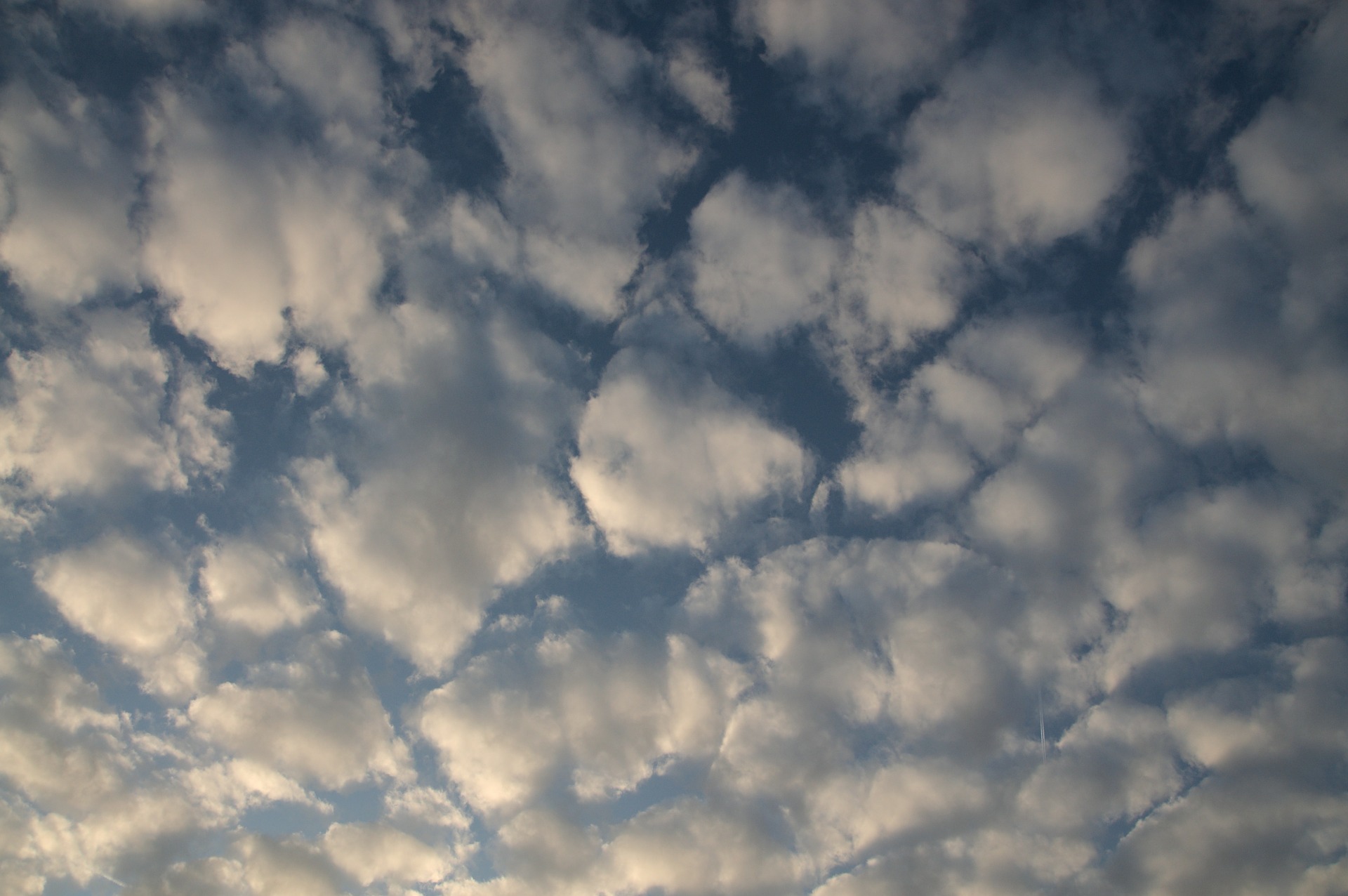Photo de stratocumulus. On peut voir trs clairement l'aspect rond de ces nuages.