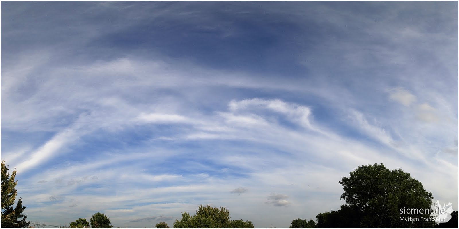 Photo de cirrus, qui forme des petits lambeaux de nuage.