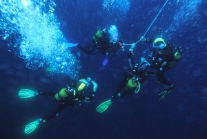 image montrant une palanque de plongeur faisant un palier