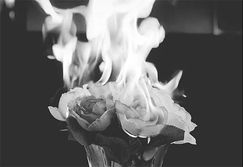 image décorative pour représenter la totalité de l'histoire - un vase de fleurs qui brûle
