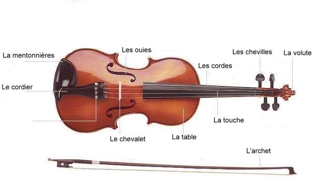 les parties du violon
